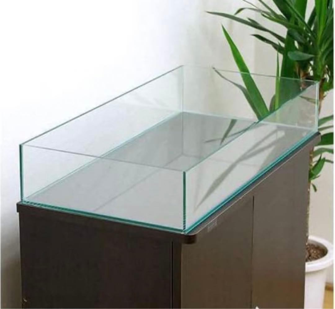 Glasia　水上育成用　６０×３０×１０ｃｍ　６０ｃｍ水槽　単体　沖縄別途送料
