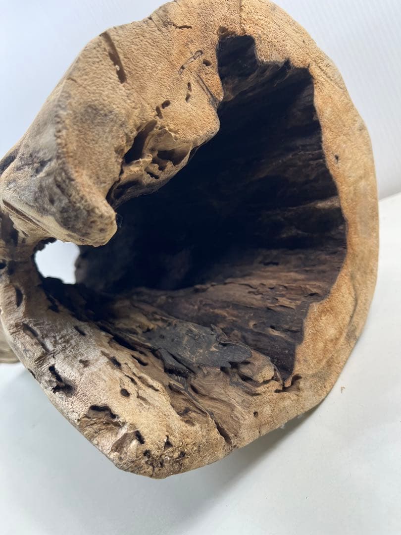 V95 アク抜き済み流木 爬虫類シェルター 登り木 インテリア 生け花