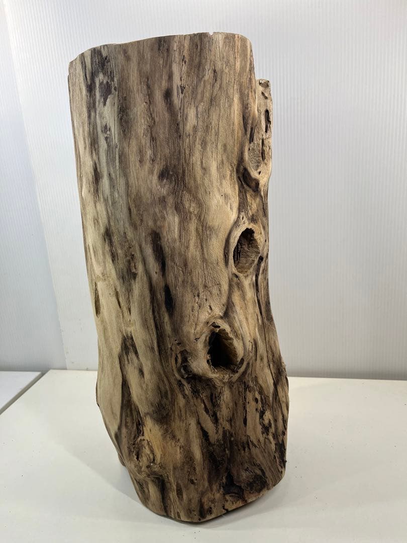 V95 アク抜き済み流木 爬虫類シェルター 登り木 インテリア 生け花