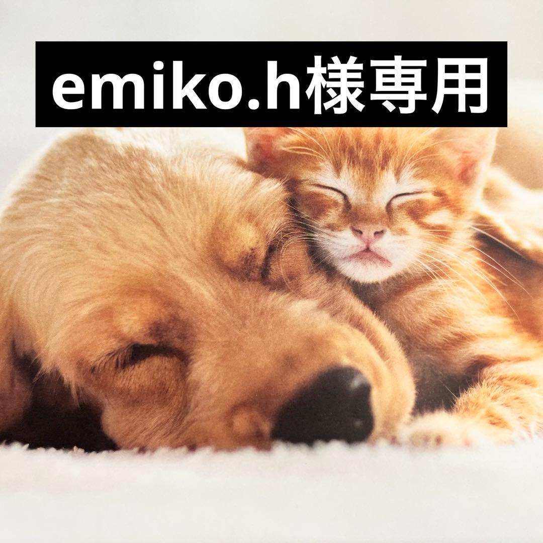 その他 emiko.h