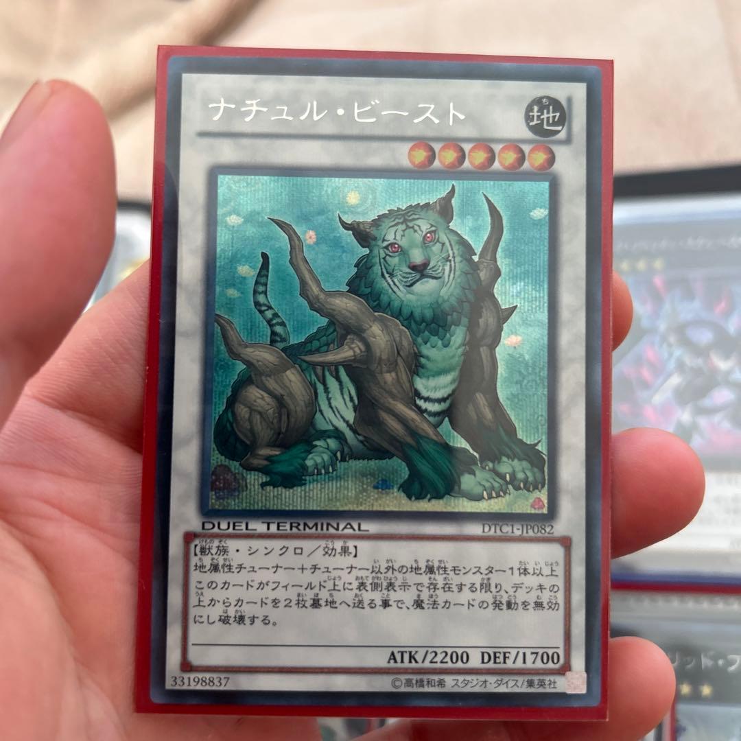 ナチュルビースト　DTCシク