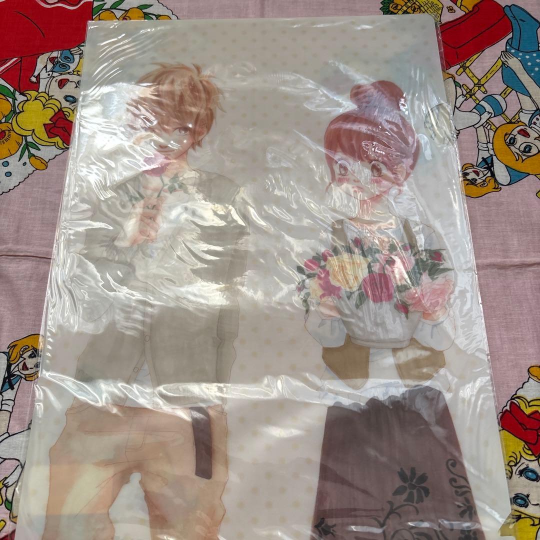 僕等がいた　クリアファイル4枚とポスター