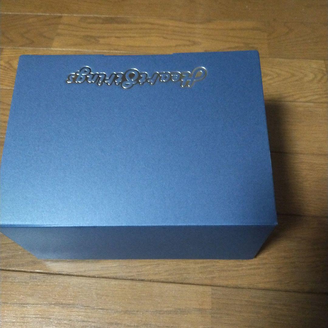 バーゲスト　ガレージキット　レジンキャストキット　フィギュア