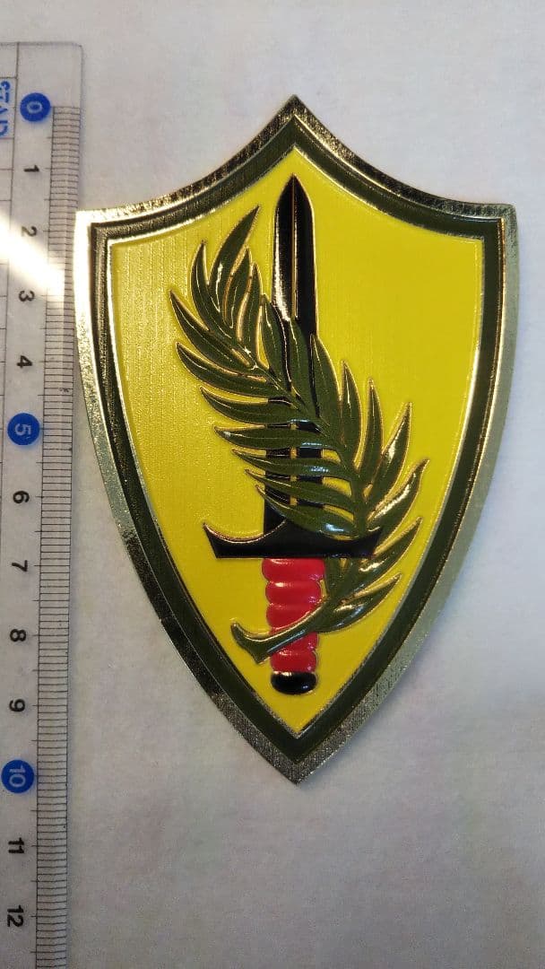 特大　米中央軍司令官（大将）チャレンジ