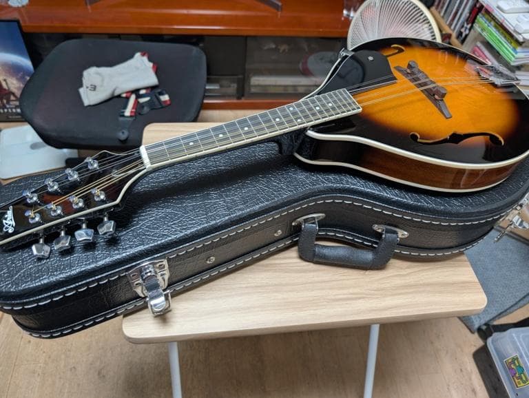 Aria フラットマンドリン AM-20 ハードケース付 美品