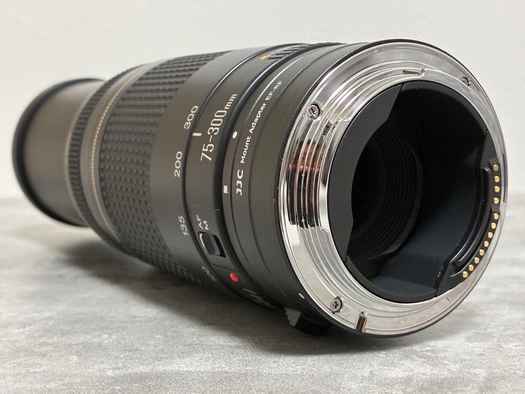 ⭐️美品⭐️Canon EF 75-300 II & EF-EOS R アダプター