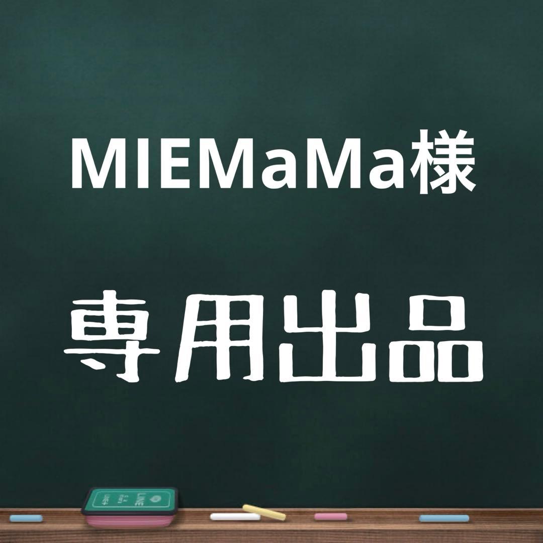 極美品 24年式 Panasonic ナノケア EH-NA0J ヘアードライヤー