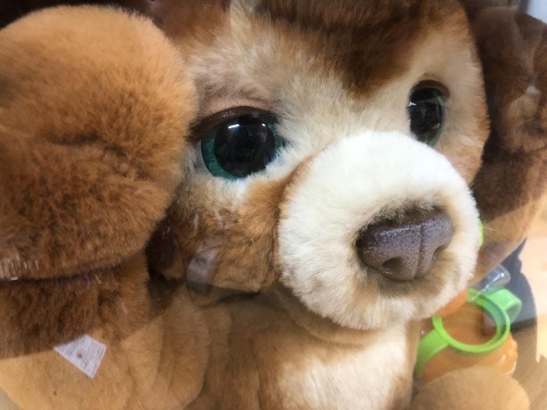 新品未開封　ファーリアル　こぐまのカビー　玩具　くま