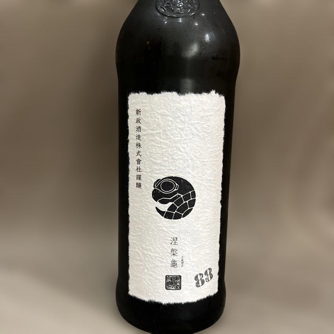 新政　2024　涅槃亀　にるがめ