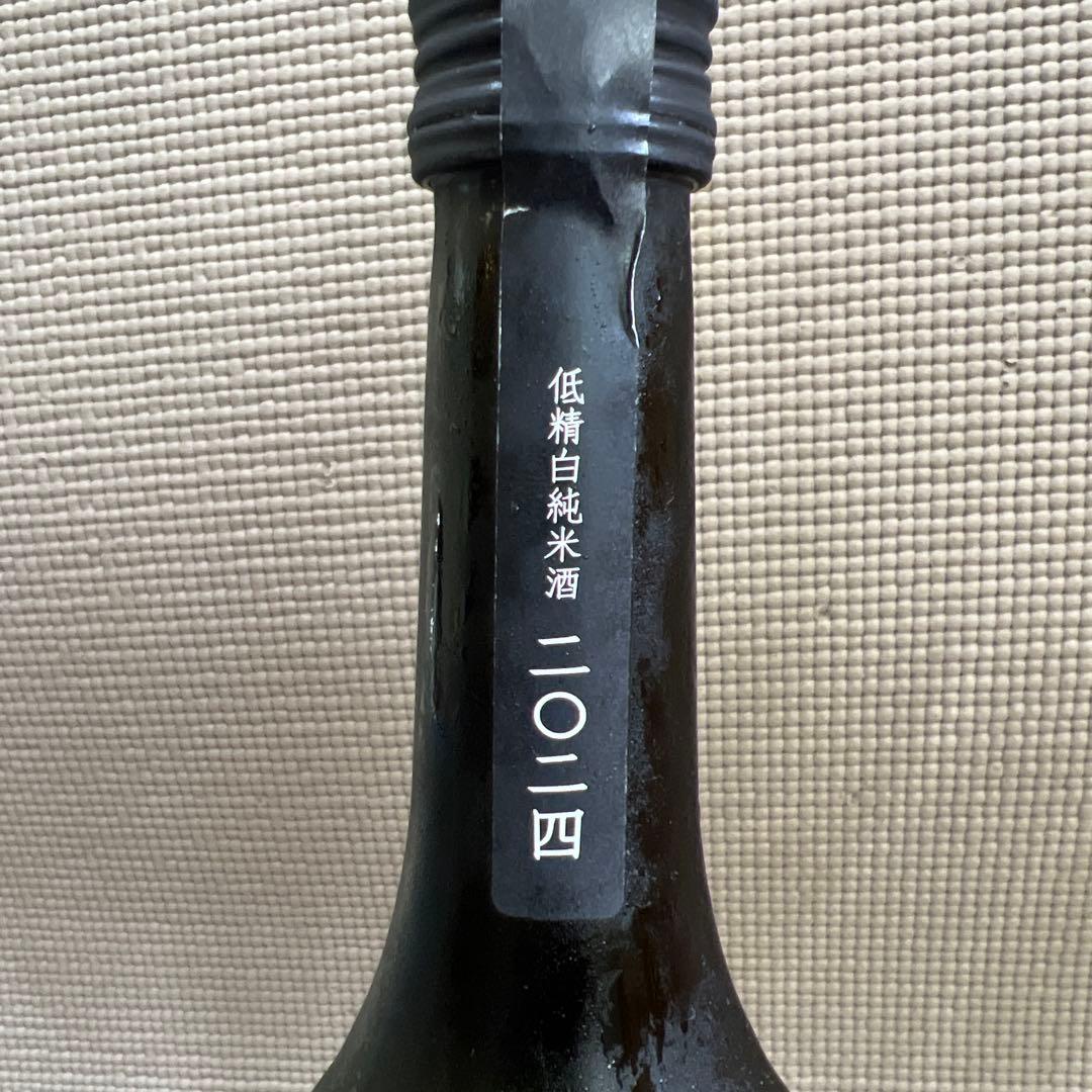 新政　2024　涅槃亀　にるがめ