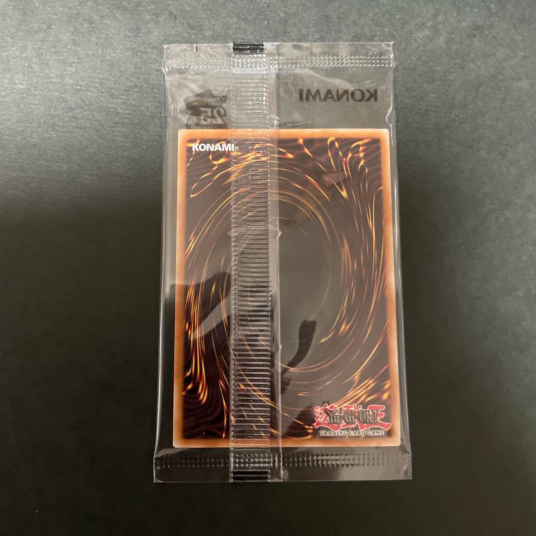 No.40 未開封　光の護封剣 25th