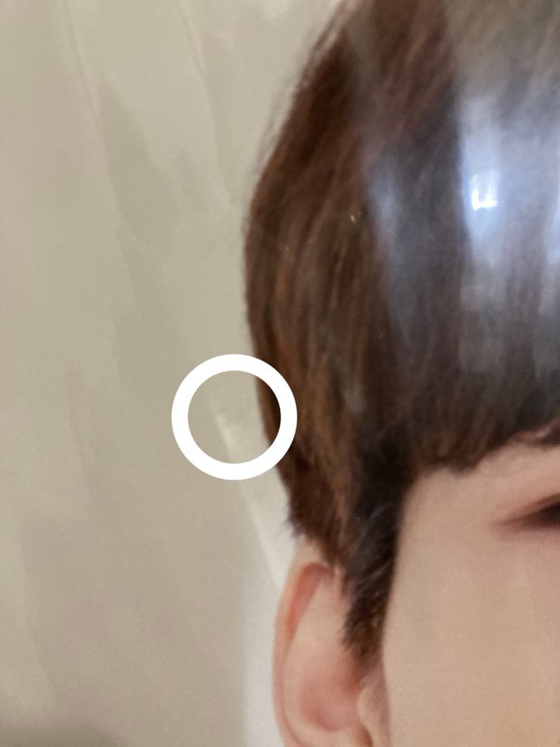 SEVENTEEN ウォヌ うちわ 9枚セット