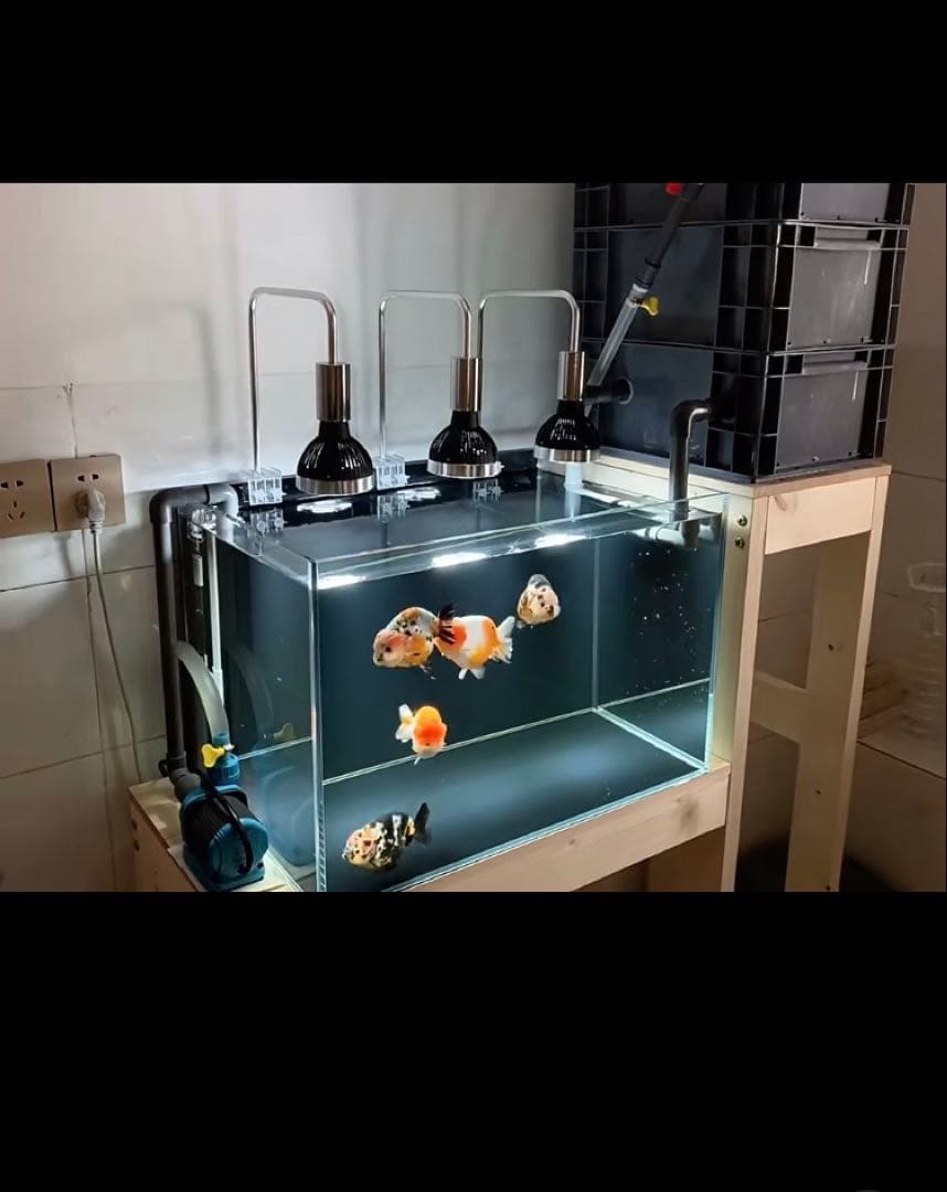 ろ材満タン付き 到着すぐ使える最強濾過装置、万能濾過フィルター即時発送送料込み