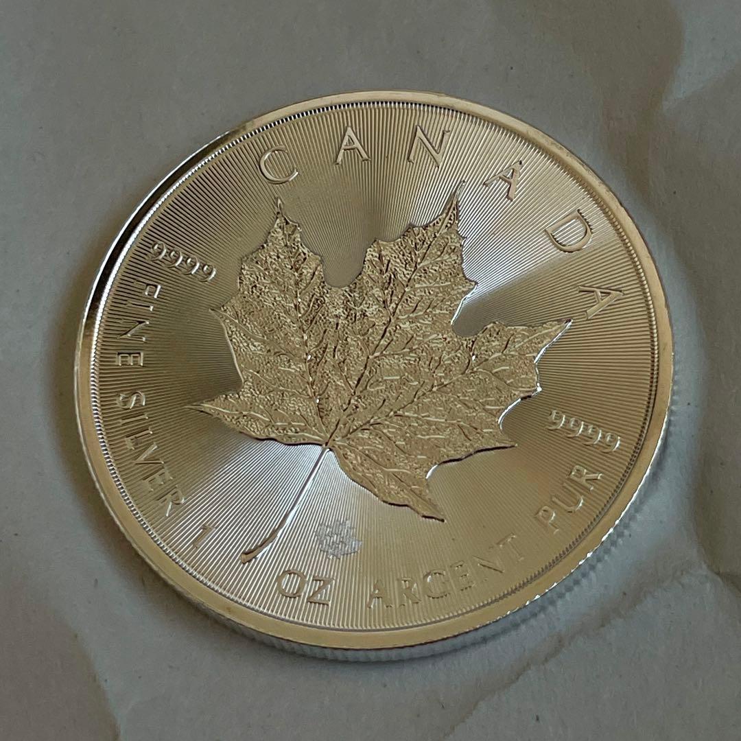 GW値下げ【25枚】2022 メイプルリーフ 5ドル 1オンス 地金型銀貨