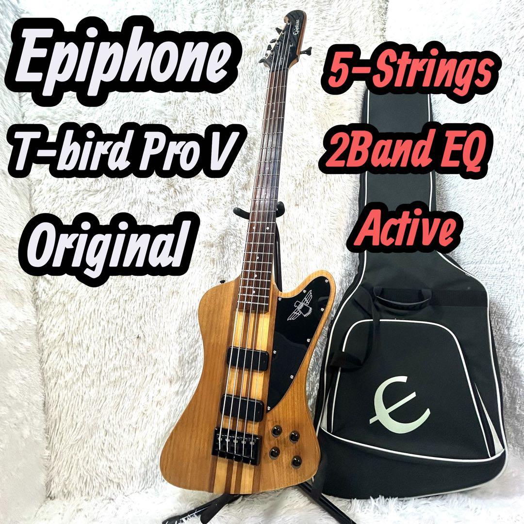 【激レア】Epiphone Thunder Bird Pro 5弦 アクティブ