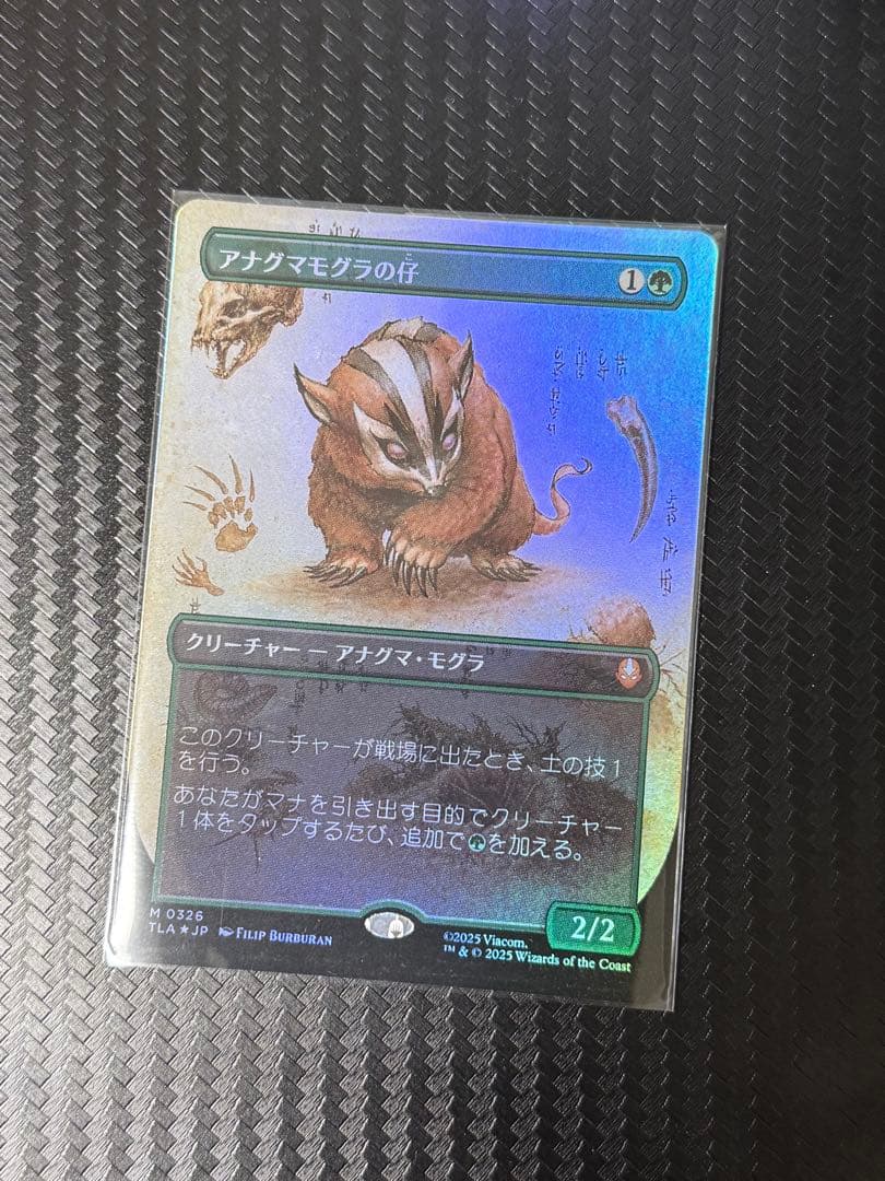 アナグマモグラの仔　日本語　Foil