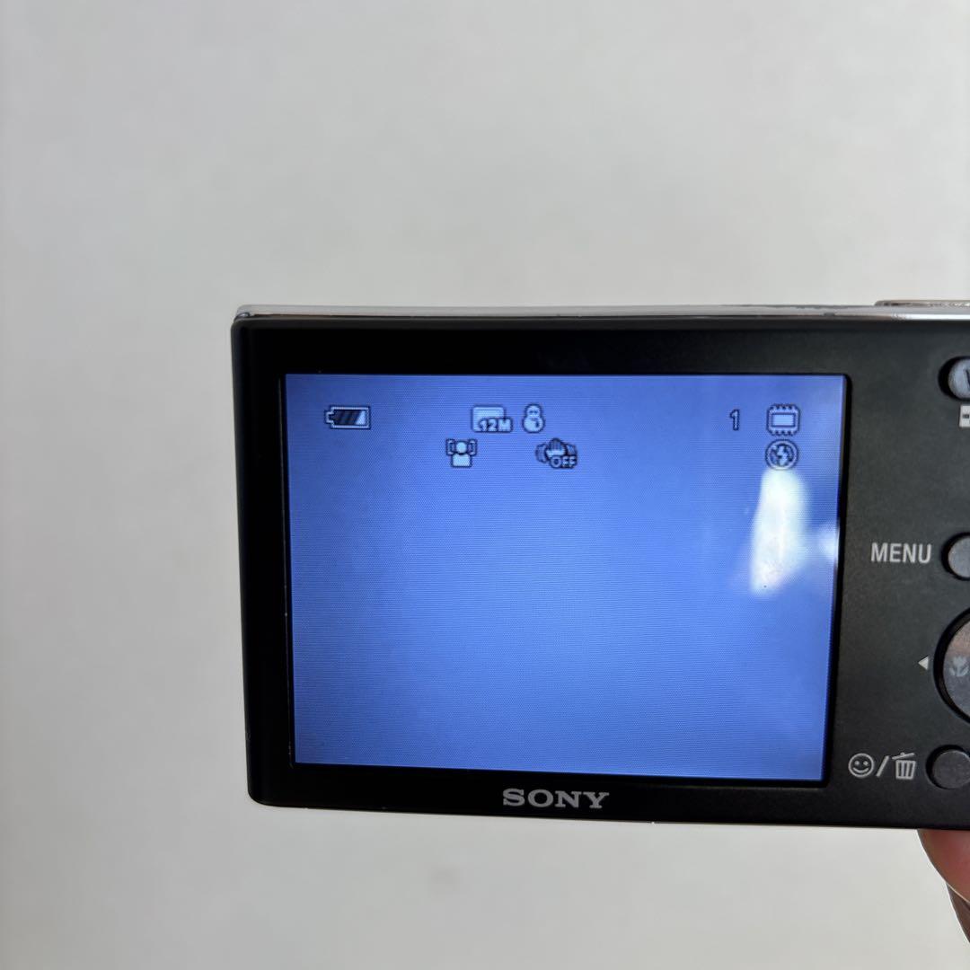SONY Cyber−Shot DSC-W190