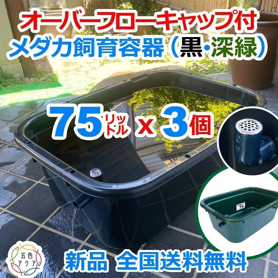 メダカ飼育ケース 75㍑x3個 黒・深緑あり オーバーフロー 金魚飼育容器