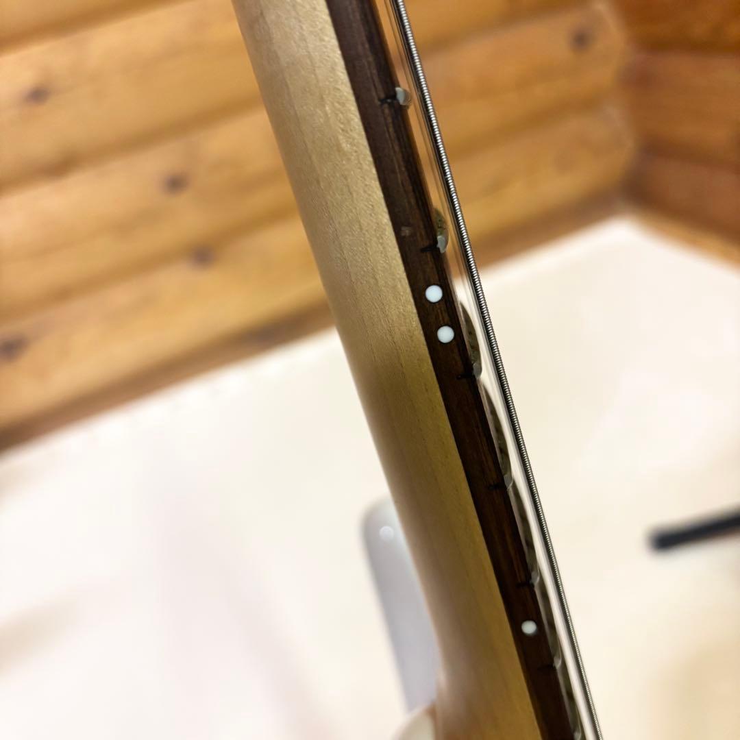 SCHECTER シェクター OL-ST BLD Oriental Line