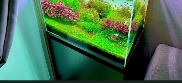 yymm　水槽フルセット ①