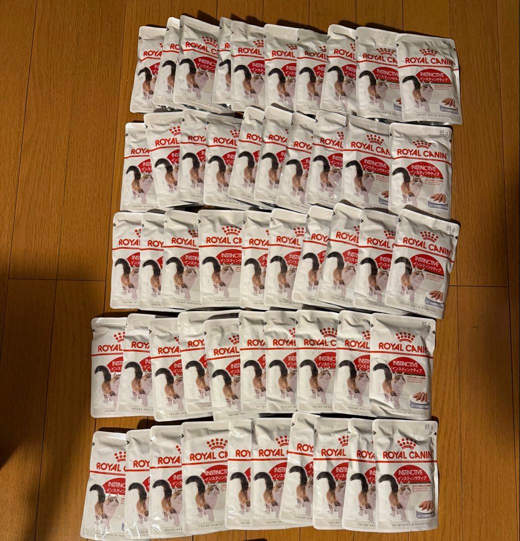 ゴンちゃん専用ページ