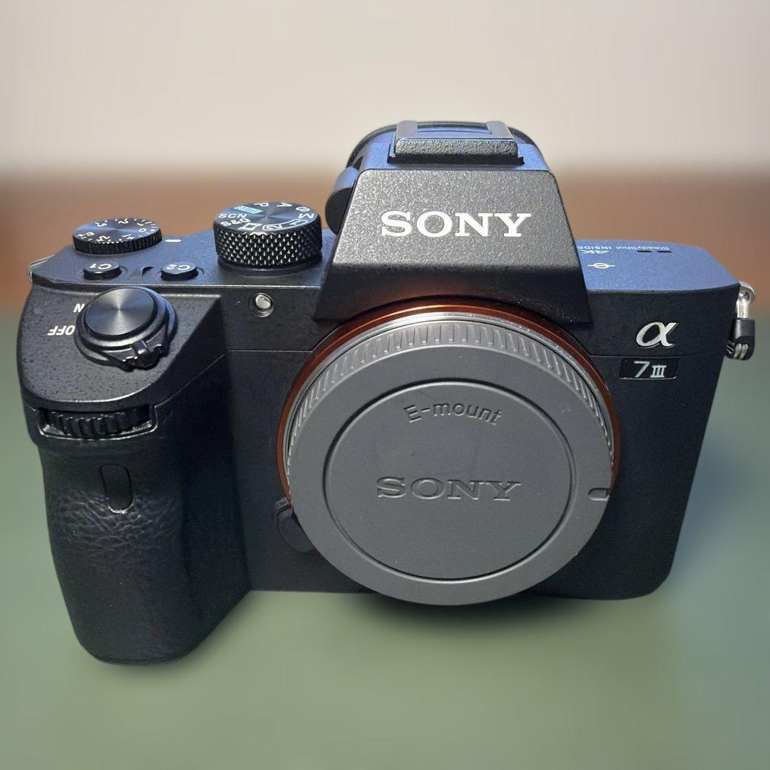 撮影枚数2854枚 SONY α7Ⅲ