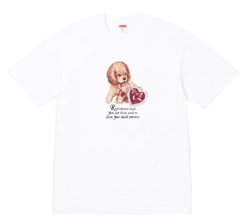 Supreme Tシャツ シュプリーム Dust Tee Logo ホワイト S