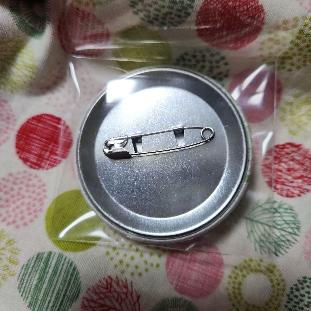 僕のヒーローアカデミア ヒロアカ 蛙吹梅雨 ED缶バッジ