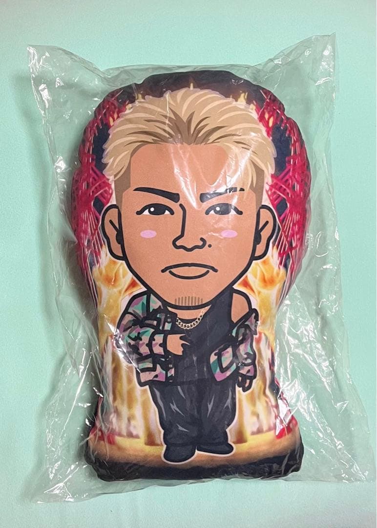 THE RAMPAGE 武知海青 クッション