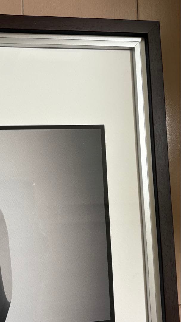 藤田一咲　『アース』　アートデコ　芸術写真　美術