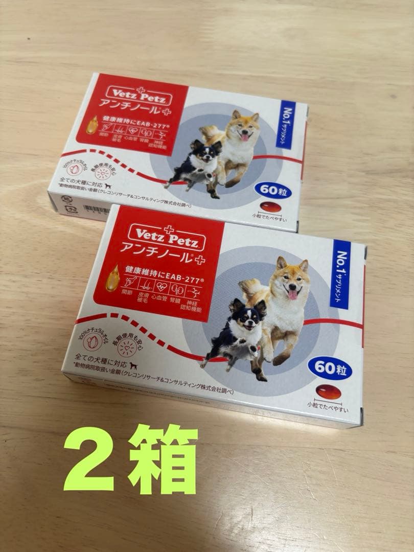 アンチノールプラス60粒　二箱