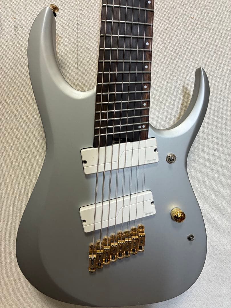 Ibanez RGDMS8 8弦ギター