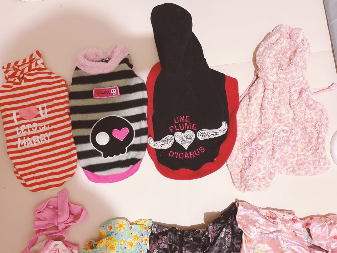 ペット 犬 猫 服 まとめ売り　ペットパラダイス　犬服　ダックス　DM DS