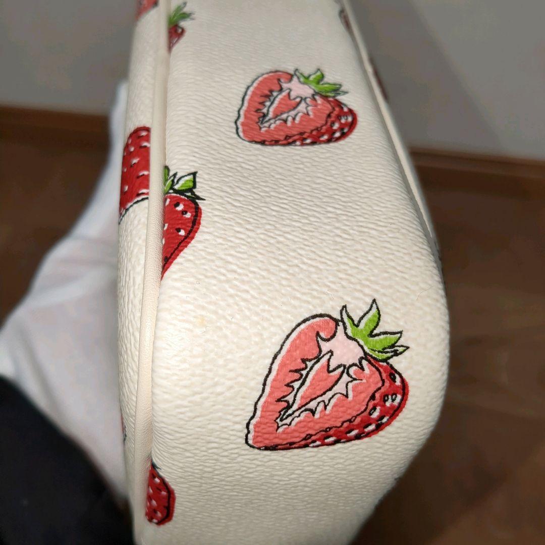 【極美品】COACH イチゴ柄 CBA80 ミニ ジェイミーショルダーバッグ