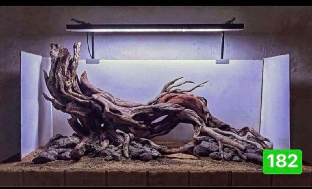 TTD 【⭐︎ テラメント株式会社様⭐︎】【美品・数量限定】