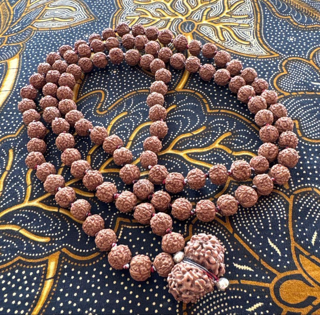 ねこのつかい ルドラクシャマーラー　トップガウリシャンカール