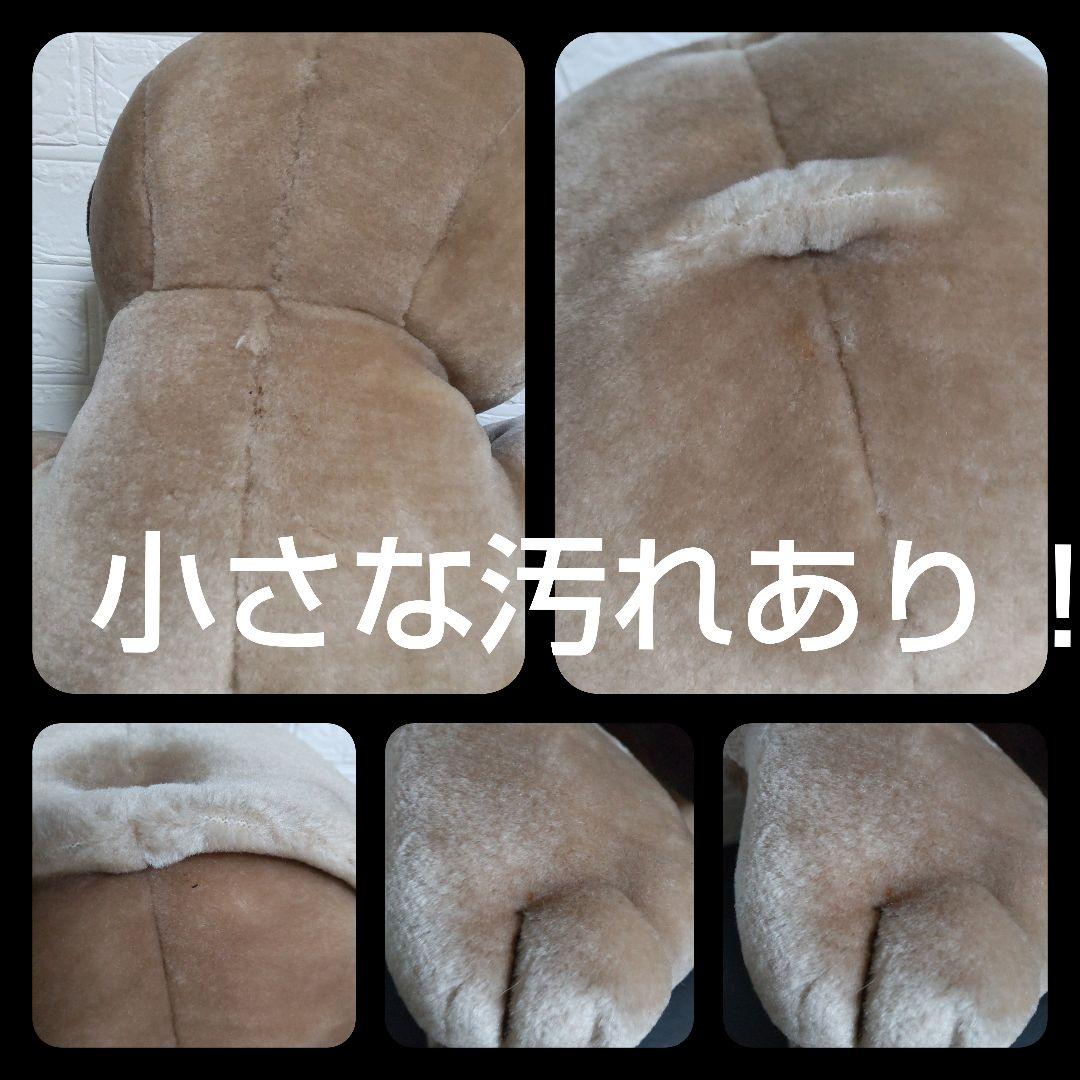 レア！ Bestever ベストエバー Pug Sittingぬいぐるみ★パグ