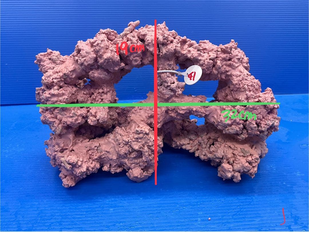 人工ライブロック　No.41. 無害化処理済