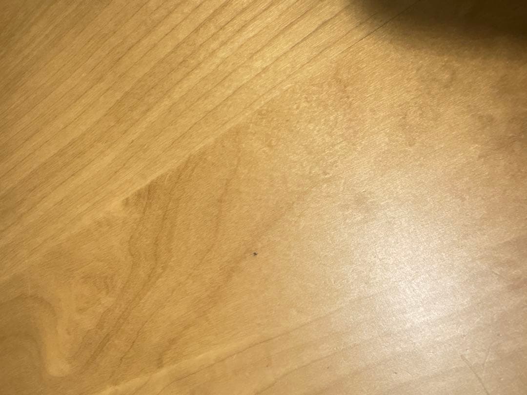 IKEA BJURSTA 伸縮可大型木製ダイニングテーブル