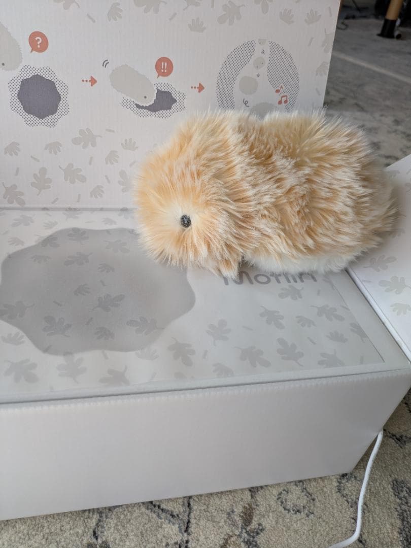 Moflin ゴールド　ハウス、アダプター等全部揃ってます