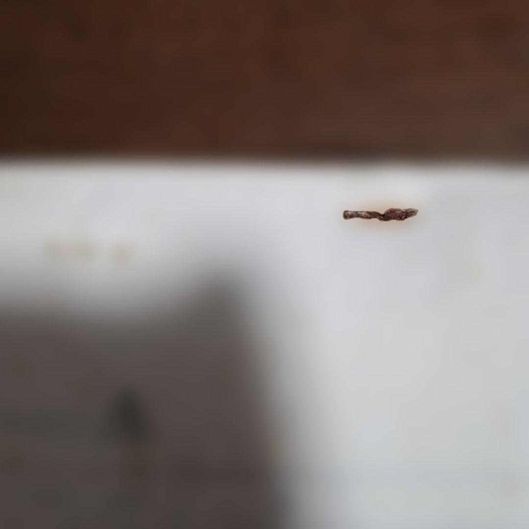 ドラゴンボールZ 第258話　絵コンテ　鳥山明