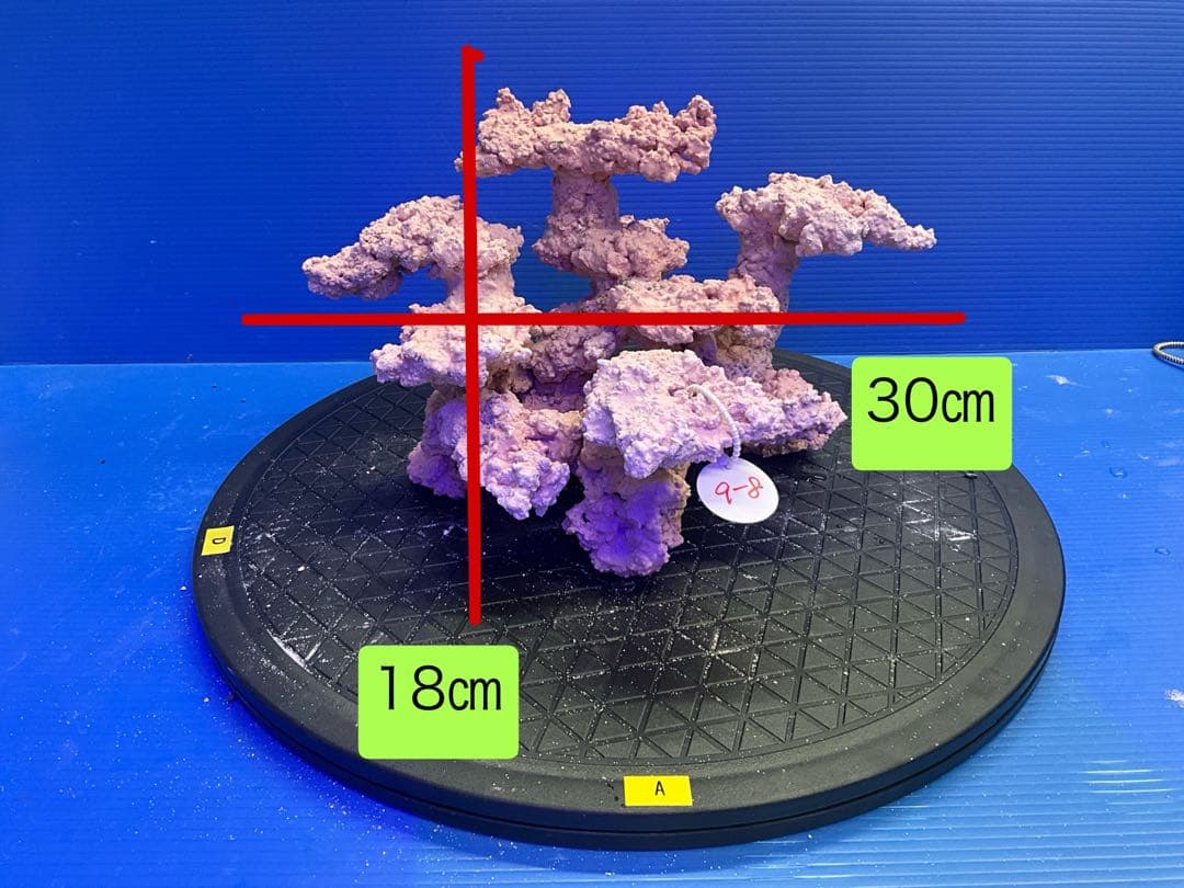 人工ライブロック. No.9-8 無害化処理済