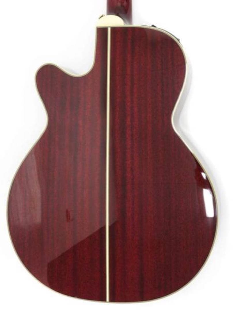 タカミネ　エレアコ　DMP551C