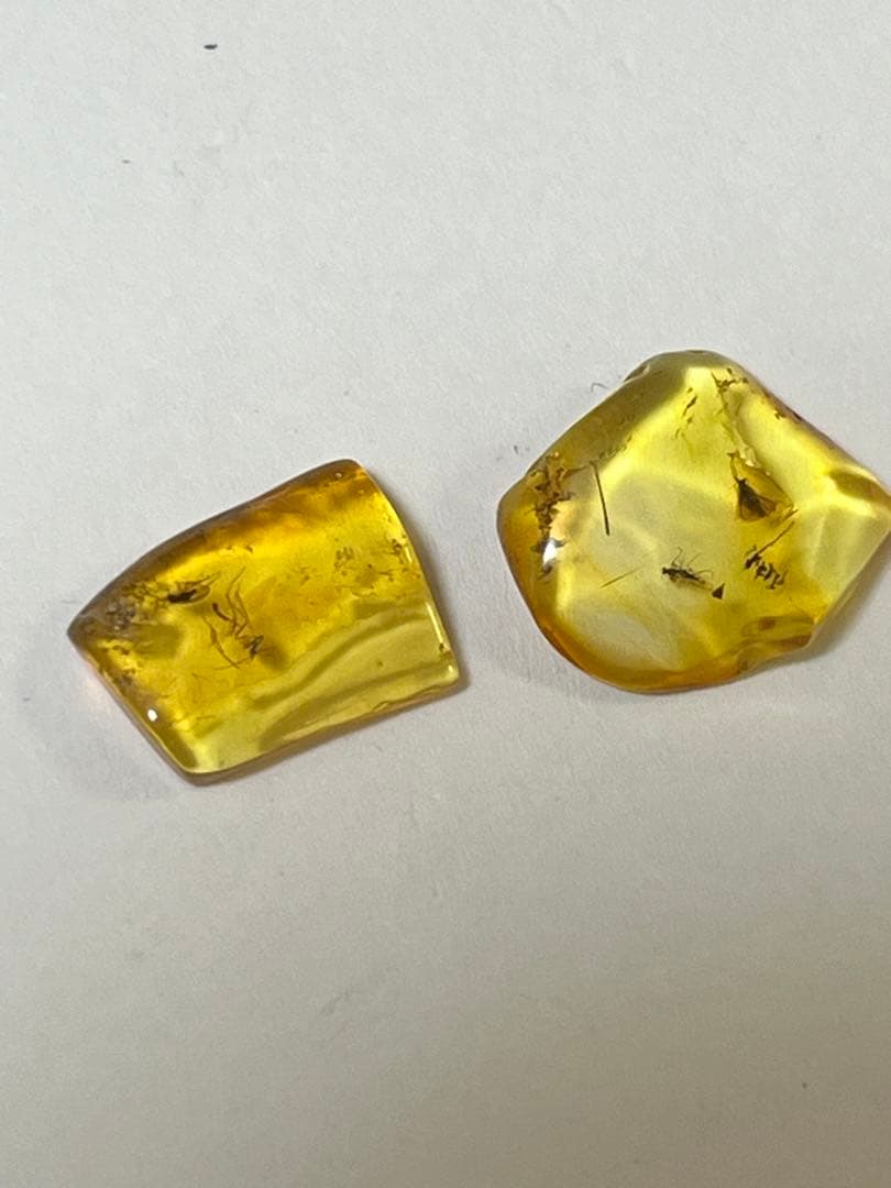 バルト海産　虫入り琥珀　12個セット　全て虫入り　本物保証　良いコンディション