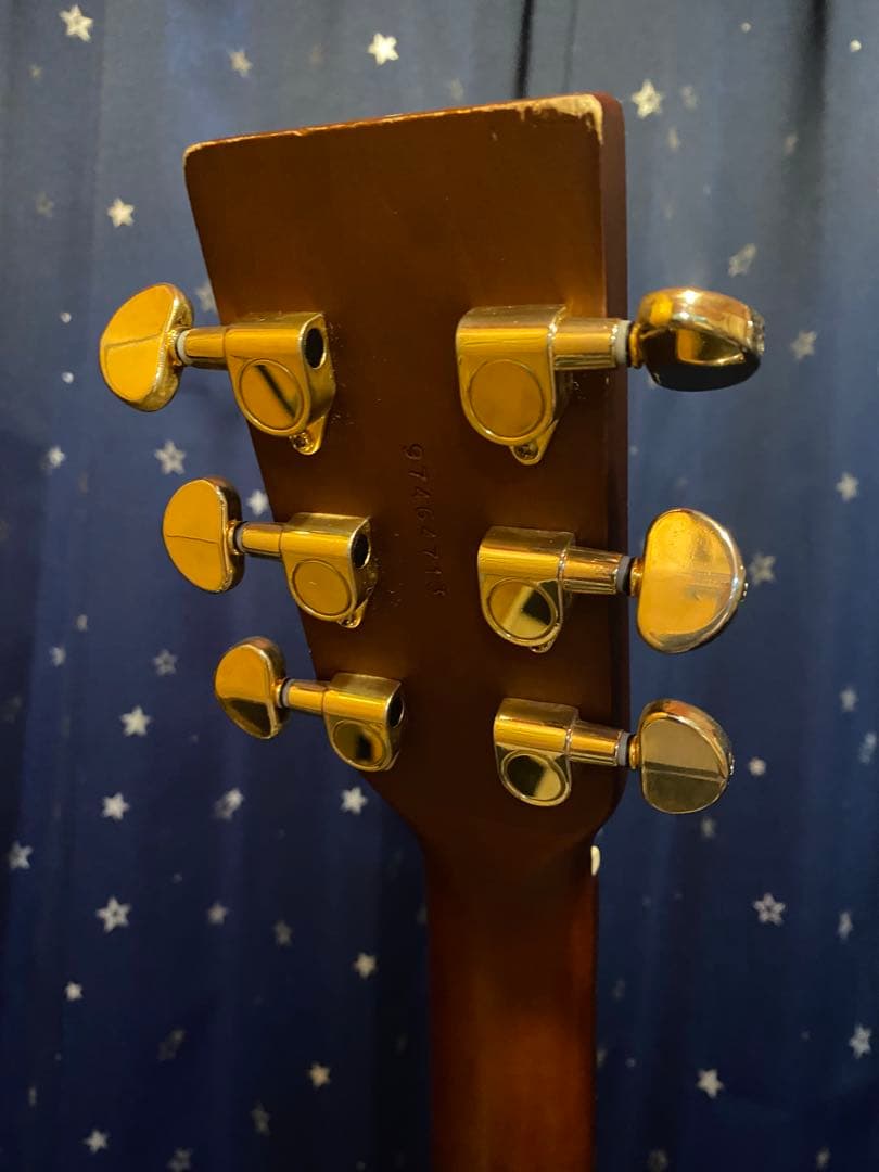 Art & Lutherie Wild Cherry (エレアコ仕様)