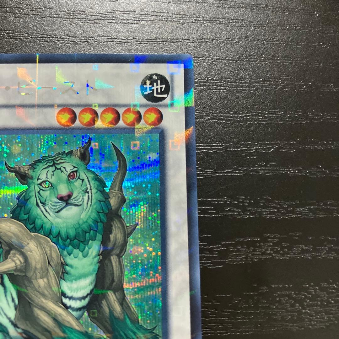 遊戯王　ナチュルビースト　シークレットレア1枚【DTC版】