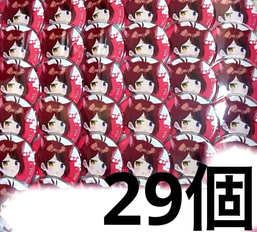 莉犬くん すとめも7 缶バッジ 29個まとめ売り すと7