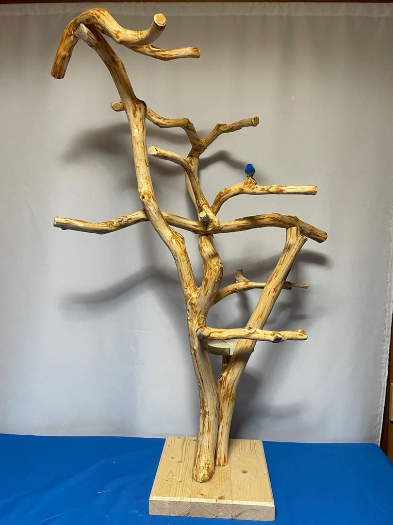 天然木白木バードジム