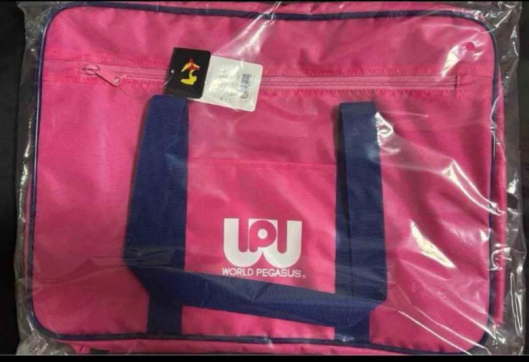 最安値❗️ワールドペガサス　スクバ　旧型　ピンク