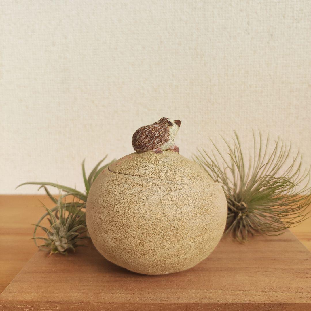 ハリネズミの一休み　Mサイズ